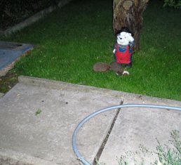 Igel 2008, Ist da einer vom gegenberliegenden Bild dabei?